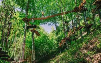 Шкільні поїздки