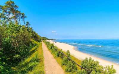 Шкільні поїздки