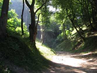 Шкільні поїздки